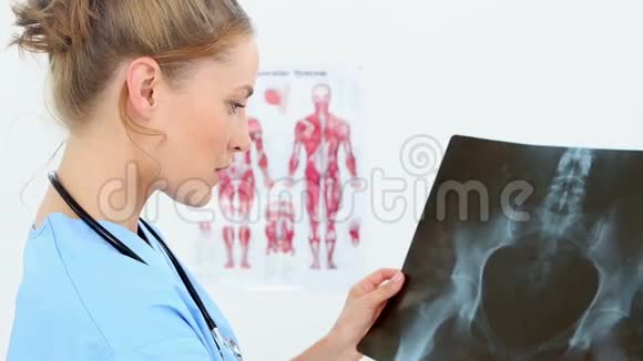 漂亮的护士在检查X光视频的预览图