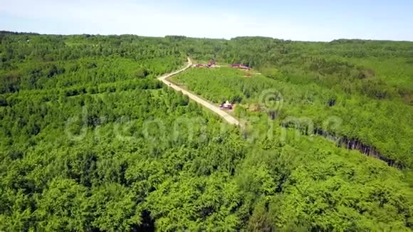 森林中蜿蜒的道路的鸟瞰图剪辑森林中道路的俯视图森林中的公路视频的预览图