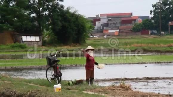 农夫正在田里种水稻视频的预览图