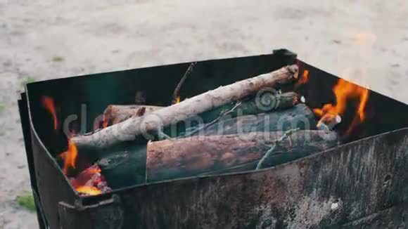 干燥的树枝在自然界的烤架中燃烧视频的预览图