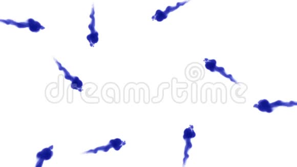 头顶拍摄的孤立的蓝色墨水在白色上形成一个圆圈颜色混合在水中并在缓慢的运动中移动使用墨水视频的预览图