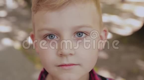 公园里一个小男孩的美丽肖像视频的预览图
