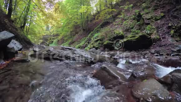 森林里的山河4K秋天山溪里的清水视频的预览图
