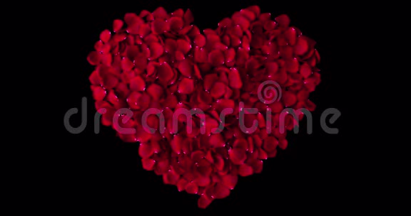 红色心形的玫瑰花瓣在黑色背景的漩涡中流动带有阿尔法通道的光爱和情人节假期视频的预览图