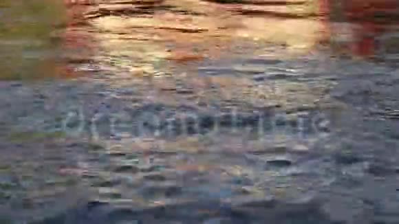 抽象性质金色阳光水反射的房子鲨鱼鲶鱼游泳视频的预览图
