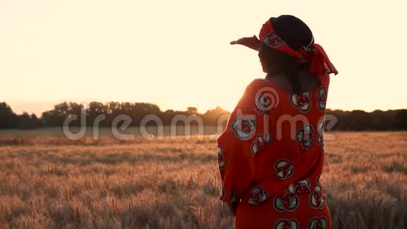 传统服装的非洲妇女站在日落或日出的农田视频的预览图