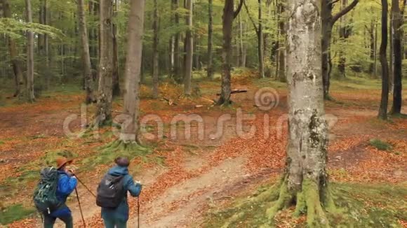 在秋天的森林里旅行视频的预览图