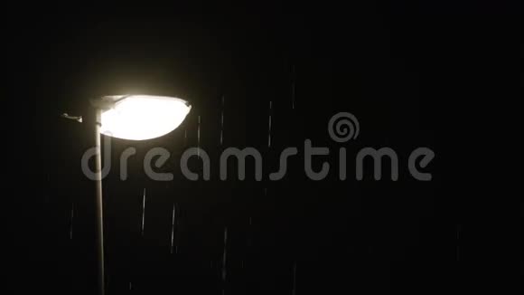 雨夜单独的灯杆视频的预览图