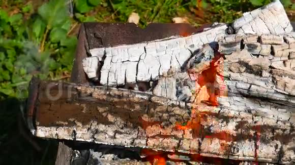 木柴在金属托盘中燃烧视频的预览图