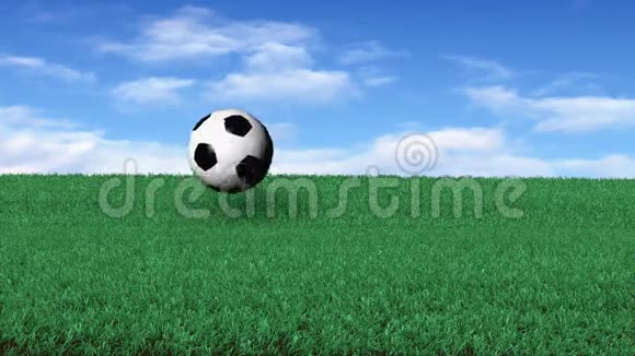 草地上的足球视频的预览图