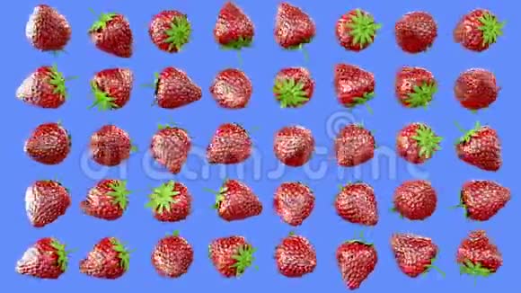 新鲜草莓在绿色屏幕上旋转水果背景视频的预览图