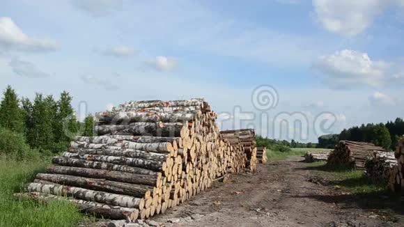 木材燃料原木堆视频的预览图