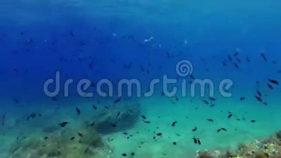 在美丽的深蓝色地中海中自取灭亡视频的预览图