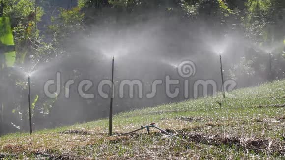 菜园灌溉喷头视频的预览图