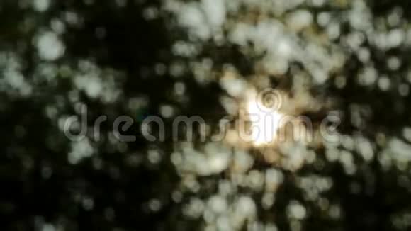 阳光波克滑车射击视频的预览图