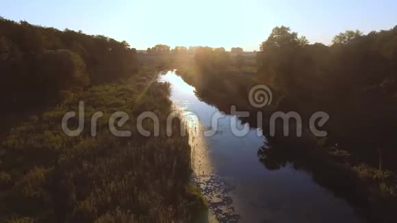 空中观景台飞越美丽的河流和美丽的森林视频的预览图