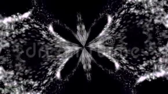 抽象黑色背景上羽毛的单色对称图案无缝环椭圆形摘要椭圆形视频的预览图