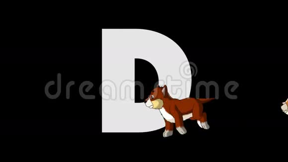 字母D和狗前景视频的预览图