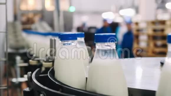 在一家牛奶厂用于将乳制品倒入塑料瓶的输送线在慢速中以全HD分辨率进行A视频的预览图