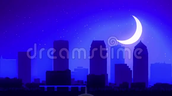 美国佛罗里达州坦帕市美国飞机起飞月夜蓝天线旅行视频的预览图
