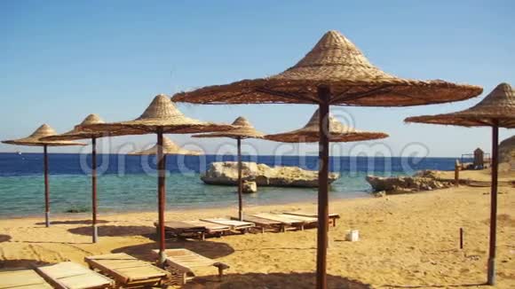 埃及带雨伞的空阳光海滩红海上的阳光床视频的预览图