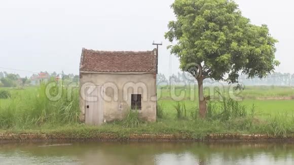 稻田里的小房子视频的预览图