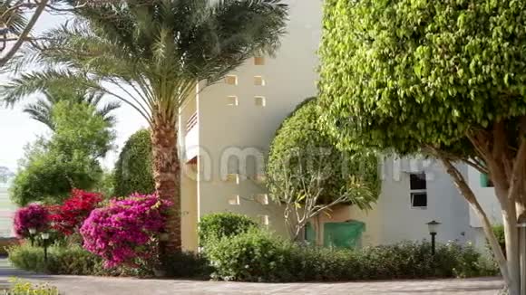 埃及的酒店门面视频的预览图