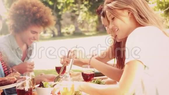 慢动作快乐的朋友们在公园里吃午饭视频的预览图