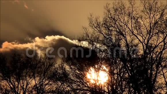 在树和云后的自然日落视频的预览图