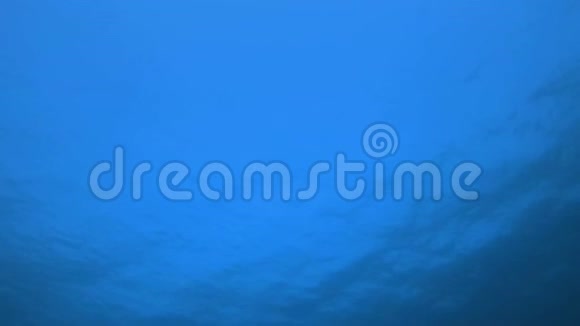 蓝色水面的背景视频的预览图