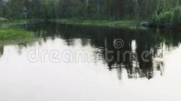 挪威森林里的河流无人射击视频的预览图
