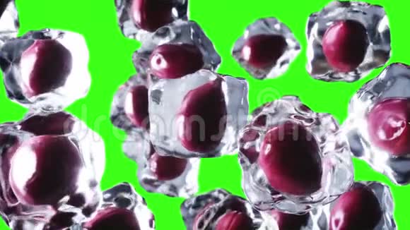 李子在冰块中旋转食和广播理念现实的冰材料4K动画片绿色屏幕视频的预览图