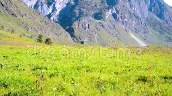 徒步旅行者带着背包在绿色的山地草地上行走夏季运动和娱乐理念视频的预览图