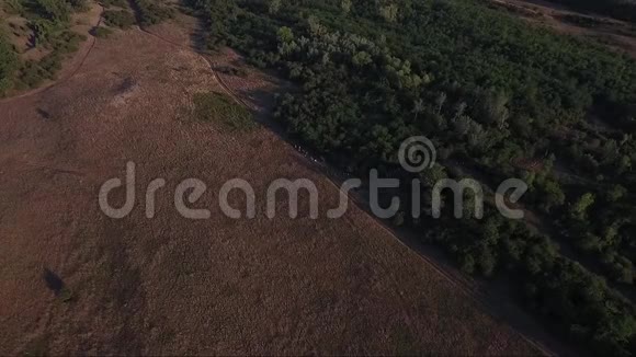 日落时的乡村田野无人机空中镜头视频的预览图
