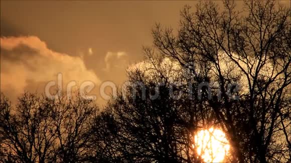 在树和云后的自然日落视频的预览图