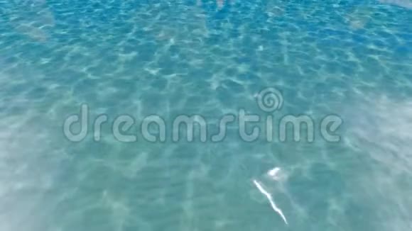 池水中的腐蚀性纯蓝色水有反光视频的预览图