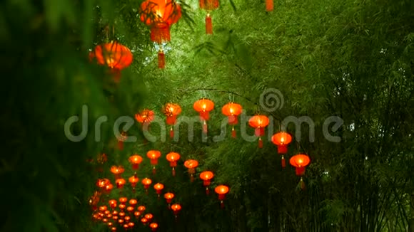 一排排中国传统风格的红灯笼挂在竹树隧道拱上视频的预览图
