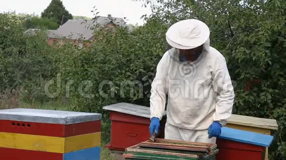养蜂人检查蜂窝视频的预览图