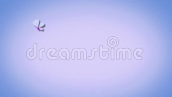鲜艳的紫色花朵视频的预览图