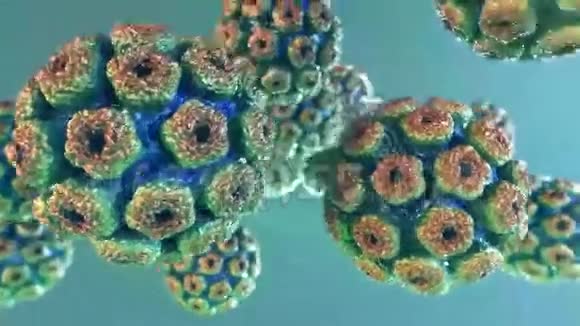 蓝色背景下许多危险的HPV病毒视频的预览图
