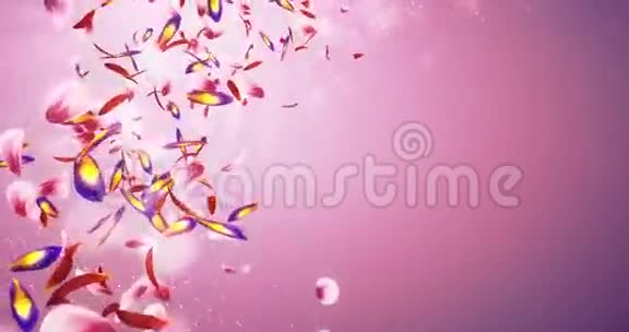 落体浪漫红粉紫花花瓣薄纱占位环4k视频的预览图