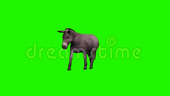 驴子走没有阴影绿色屏幕视频的预览图