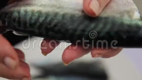 爱尔兰的新鲜鱼肉视频的预览图
