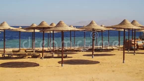 埃及带雨伞的空阳光海滩红海上的阳光床视频的预览图