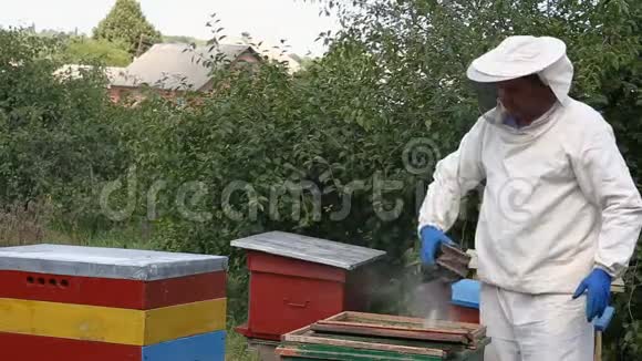 养蜂人检查蜂窝视频的预览图