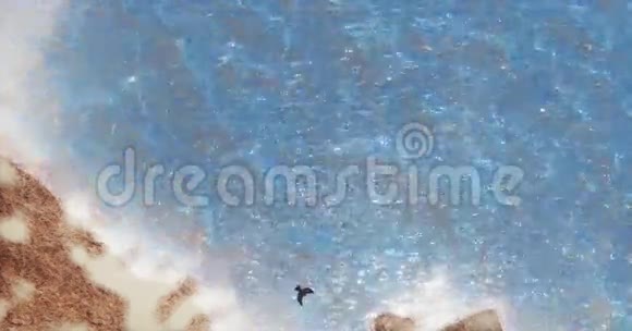 空中鹰盘旋在海洋和岛屿上阳光反射湖水视频的预览图