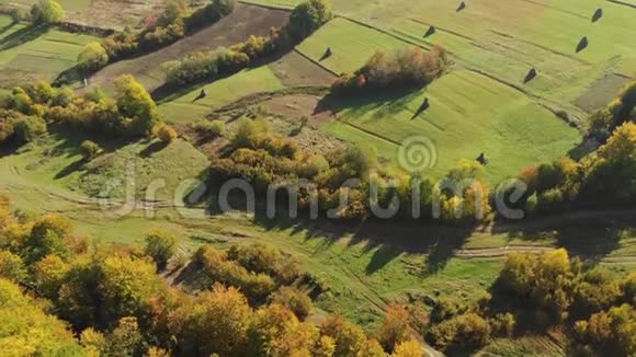 喀尔巴阡山斜坡上的绿色田野干草收获视频的预览图