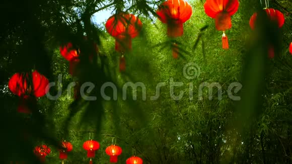 一排排中国传统风格的红灯笼挂在竹树隧道拱上视频的预览图
