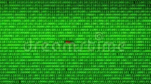 绿色二进制代码的墙揭示加密数据矩阵背景视频的预览图