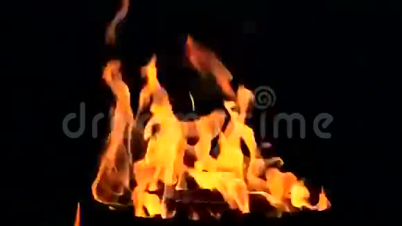黑色背景上的火焰视频的预览图